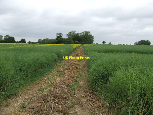 Photo 6"x4" Clear Footpath Goose Green\/TM1187 c2013