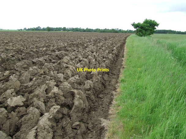 Photo 6"x4" Ploughed Field Goose Green\/TM1187 c2013