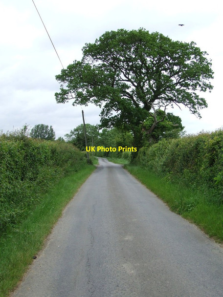 Photo 6"x4" Haywood End Goose Green\/TM1187 c2013