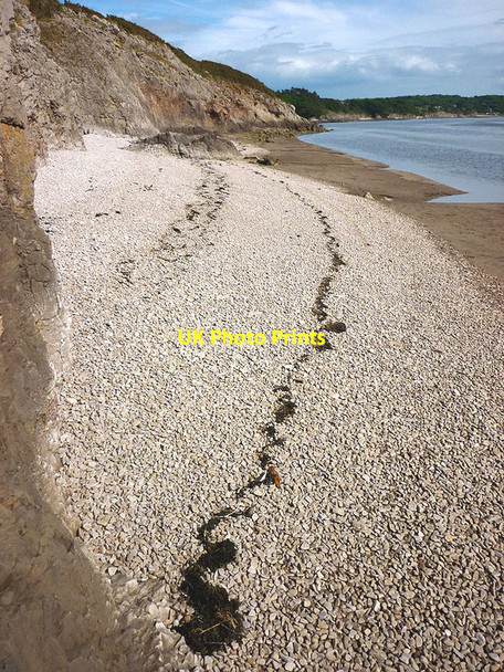 Photo 6"x4" Tide lines at Far Arnside Far Arnside c2013