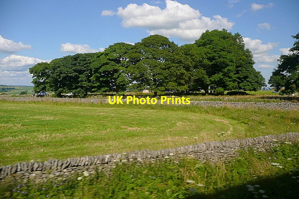 Photo 6"x4" Copse at Pomeroy Pomeroy\/SK1167 c2012