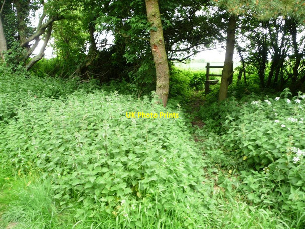 Photo 6"x4" Footpath stile, north of Thistleton's Main Street Thistleton\/SK9117 c2013