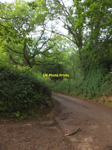 Photo 6"x4" Road junction at Burn Bridge Cadeleigh c2013