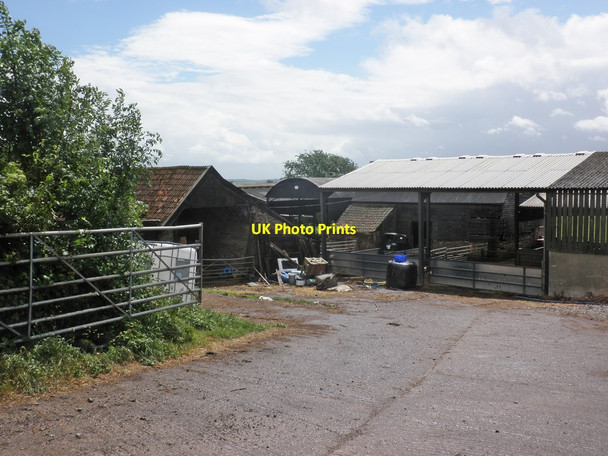 Photo 6"x4" Gotton Farm Gotton c2013