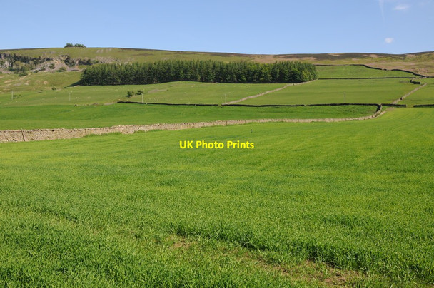 Photo 6"x4" Farmland near Ellerton Abbey Marrick c2013