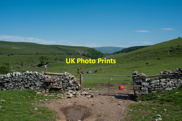 Photo 6"x4" Gate and stile on path to Smardale Bridge Greenside\/NY7104 c2013