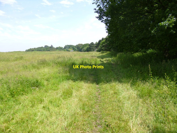Photo 6"x4" Ridge, footpath Wareham c2013