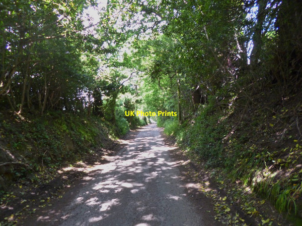 Photo 6"x4" Ridge, private road Wareham c2013