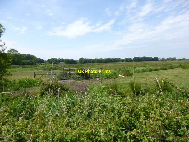 Photo 6"x4" Ridge, watermeadows Wareham c2013