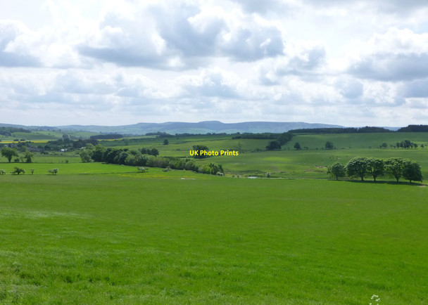 Photo 6"x4" Pasture leading down to the Netherton Burn Netherton\/NT9807 c2013