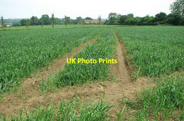Photo 6"x4" Fields by Great Glemham Great Glemham c2013