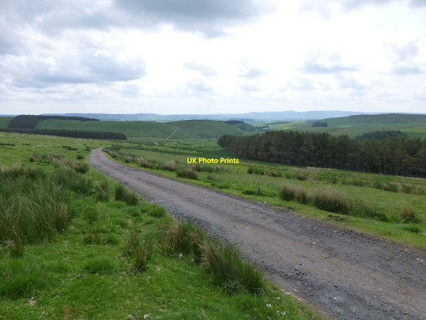 Photo 6"x4" The road from Ewartly Shank to Alnham Alnham c2013