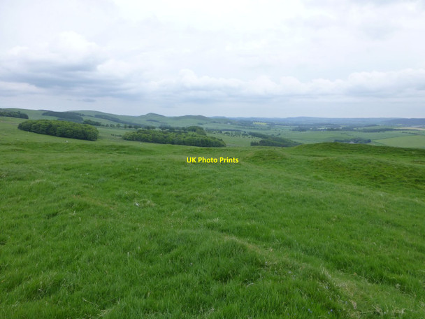 Photo 6"x4" In Castle Hill hillfort Alnham c2013