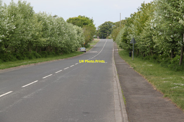 Photo 6"x4" Old Great North Road at Scremerston Scremerston c2013