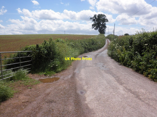 Photo 6"x4" Minor road to Rowford Upper Cheddon c2013