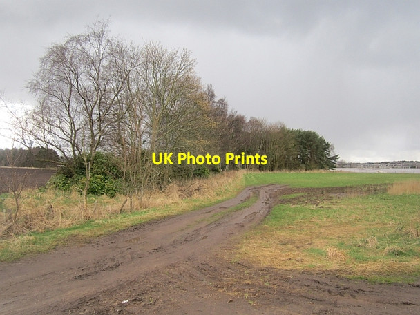 Photo 6"x4" Farm road near Ladybank Ladybank\/NO3009 c2013