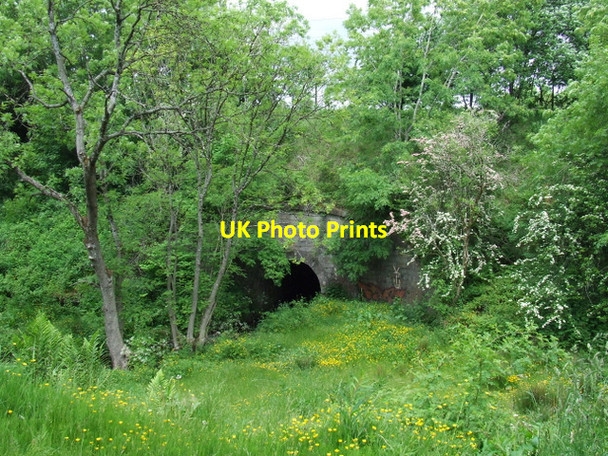Photo 6"x4" Old Patrick Water Johnstone\/NS4362 c2013