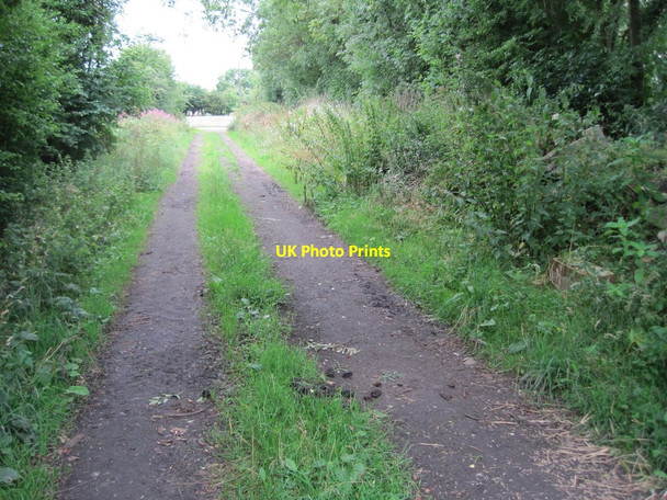 Photo 6"x4" Husthwaite Gate railway station (site), Yorkshire Husthwaite c2010