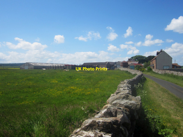 Photo 6"x4" Farm buildings at Fenham Fenwick\/NU0640 c2013