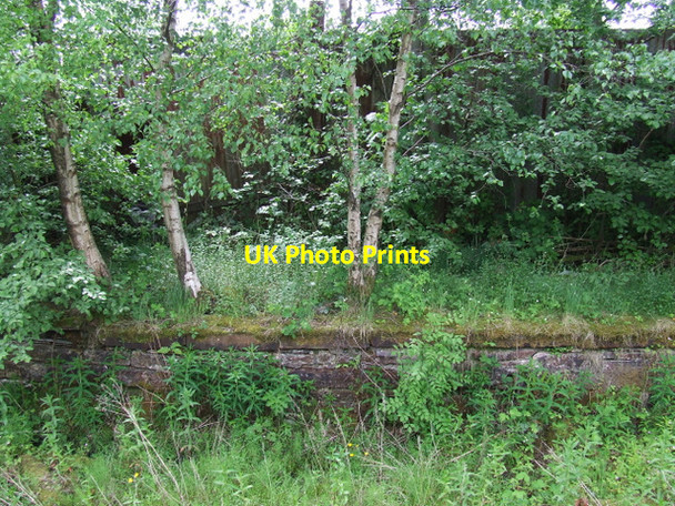 Photo 6"x4" National Cycle Network Route 75 Johnstone\/NS4362 c2013