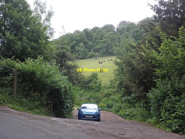 Photo 6"x4" Woods Lane Broomfield\/ST2232 c2013