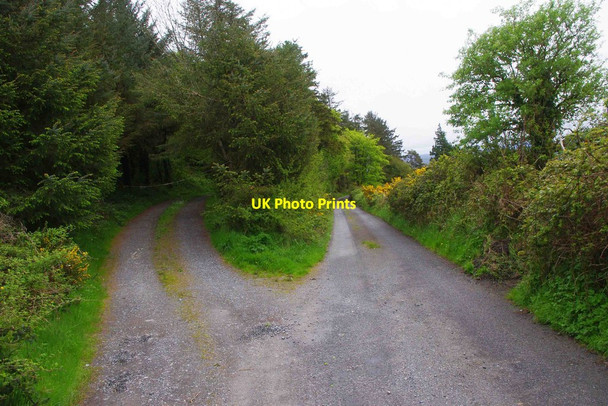Photo 6"x4" Fork in the road from Ballylaghnan, Co. Clare Ogonnelloe c2013