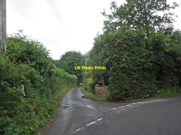 Photo 6"x4" Turning for Triscombe Plainsfield\/ST1936 c2013