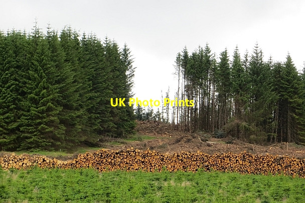 Photo 6"x4" Log pile, Cairnoch Hill Cairnoch Hill c2013