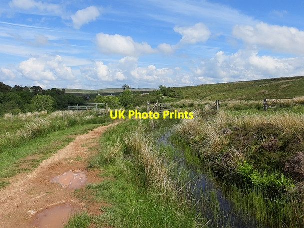 Photo 6"x4" Gates on the Kelly Cut Spango\/NS2374 c2013