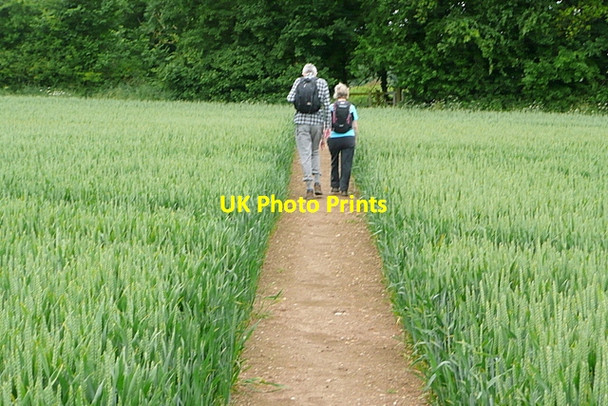Photo 6"x4" Two of my walking companions Broadplat c2013
