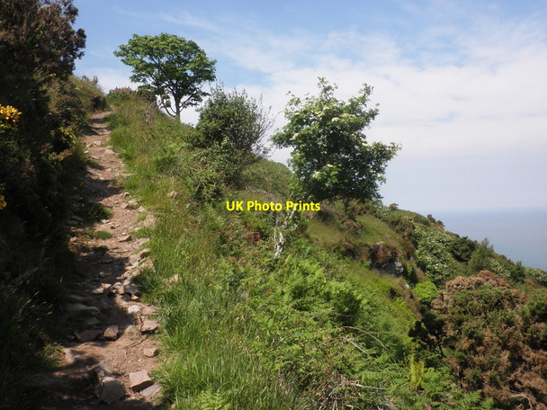 Photo 6"x4" Rugged coast path, above Eastern Brockholes Allerford\/SS9047 c2013
