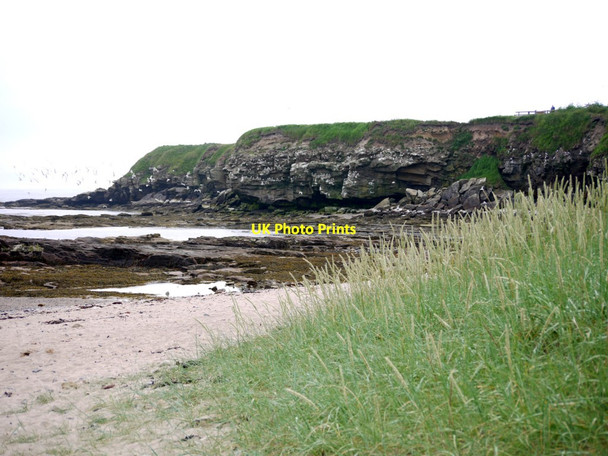 Photo 6"x4" Cliffs at Braidcarr Rocks North Sunderland c2013