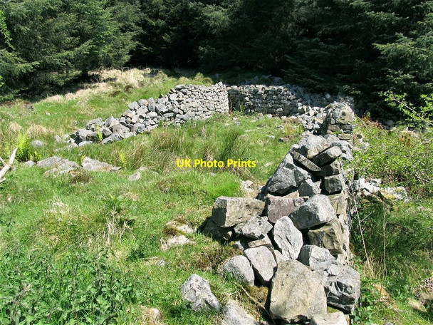 Photo 6"x4" Ruins of Cilhepste-cerig Pen-common c2013