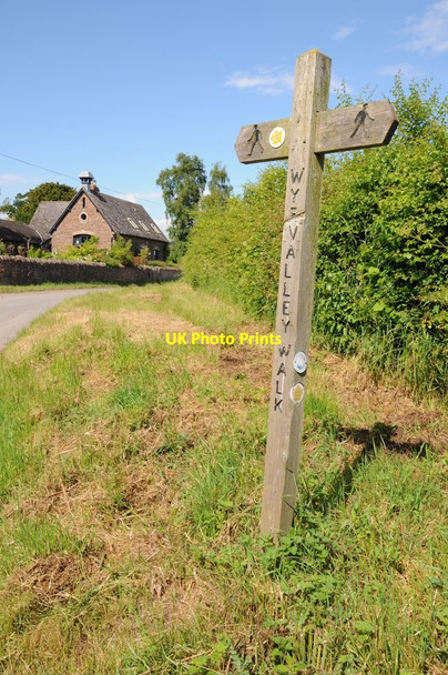 Photo 6"x4" The Wye Valley Walk at Ladyridge Brinkley Hill c2013