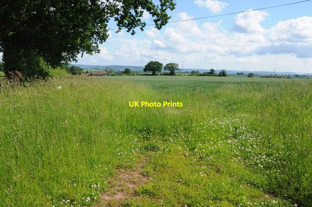 Photo 6"x4" Wheat field near Parlor's Farm Brockhampton\/SO5931 c2013