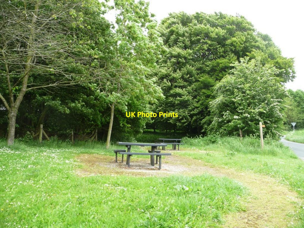 Photo 6"x4" Wayrham picnic site on a windy day Painsthorpe c2013