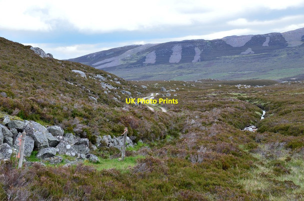 Photo 6"x4" Track near Ripe Hill Inver\/NO2393 c2013