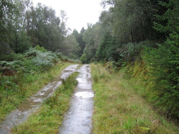 Photo 6"x4" Forestry track above Eas Urchaidh on River Orchy Caledonian Forest Reserve c2008