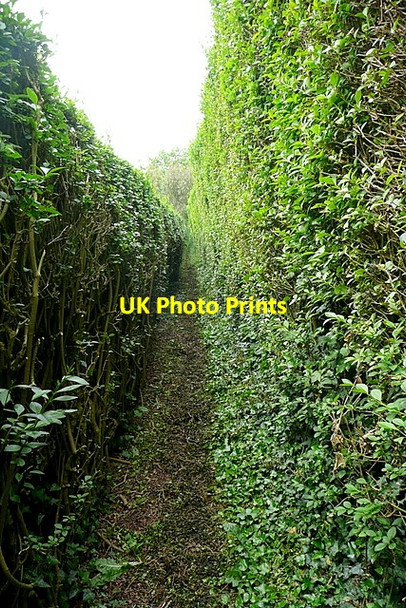 Photo 6"x4" Footpath at Binfield Heath Binfield Heath c2013