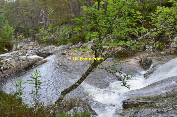 Photo 6"x4" Falls of Garbh Allt, Ballochbuie Forest Garbh Allt Shiel c2013