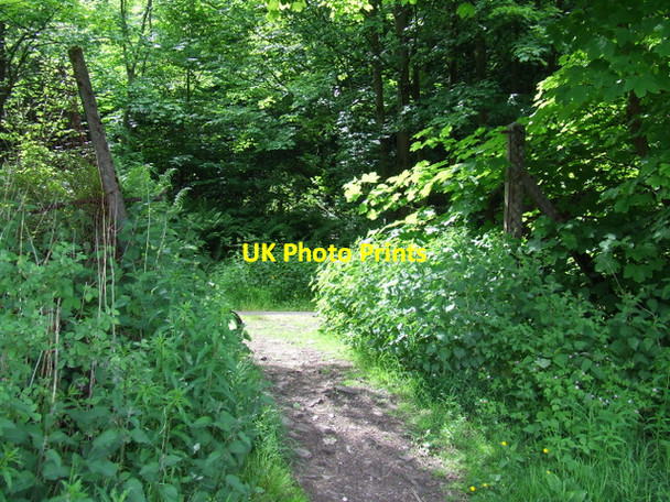 Photo 6"x4" National Cycle Network Route 75 Bridge of Weir c2013