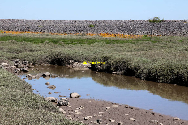 Photo 6"x4" Saltmarsh at Porlock Weir Porlock Weir c2013
