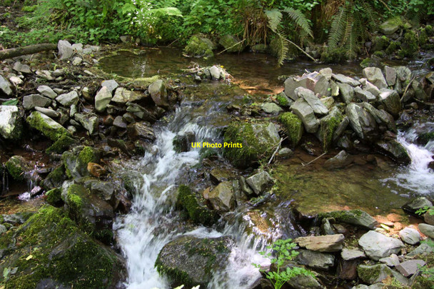 Photo 6"x4" A stream in Worthy Combe Worthy\/SS8548 c2013