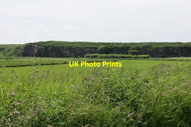 Photo 6"x4" Trow Leas South Shields c2013