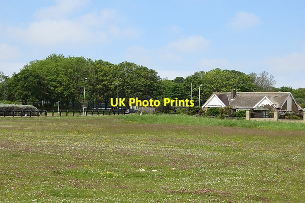 Photo 6"x4" Southern edge of Whitburn South Bents c2013