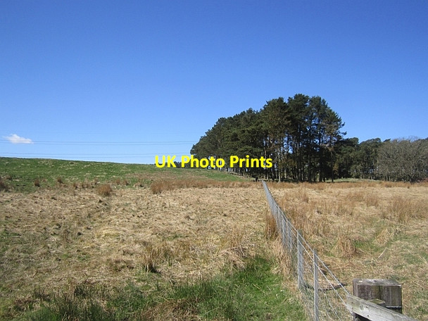 Photo 6"x4" Ilderton Moor Ilderton c2013