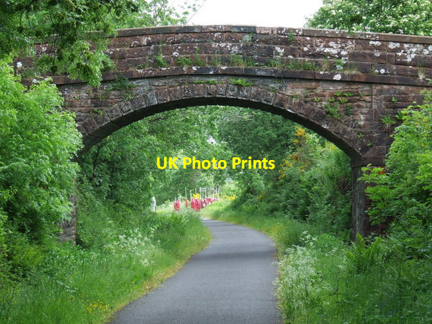 Photo 6"x4" National Cycle Network Route 75 Quarriers Village c2013