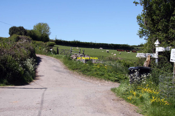 Photo 6"x4" The road to Culbone Worthy\/SS8548 c2013