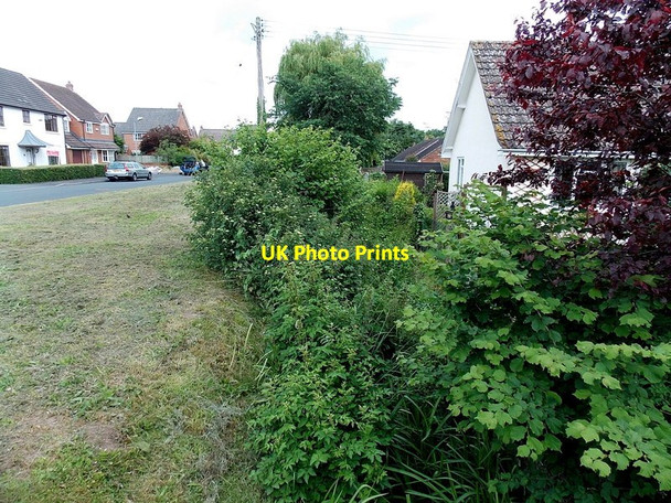 Photo 6"x4" Overgrown mill stream, Eardisley Eardisley c2013