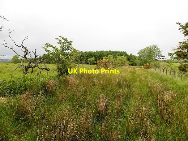 Photo 6"x4" The Drove Road Bowismiln c2013